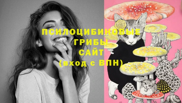 прущая мука Елабуга
