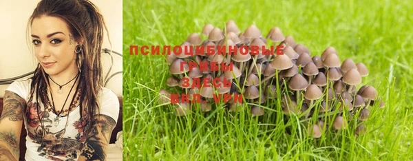 мяу мяу мука Ельня