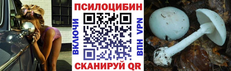 Псилоцибиновые грибы мицелий  omg зеркало  Питкяранта  цены наркотик 